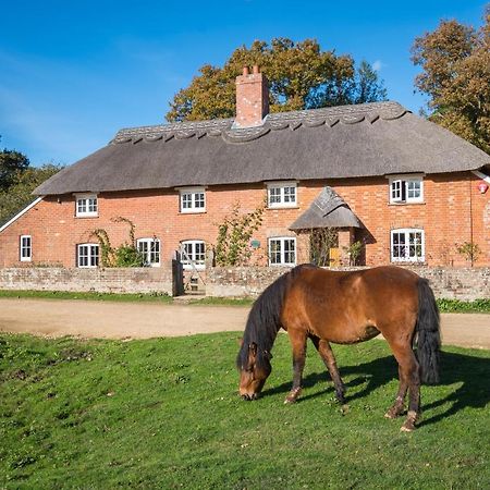 Thatched Cottage Brockenhurst Buitenkant foto