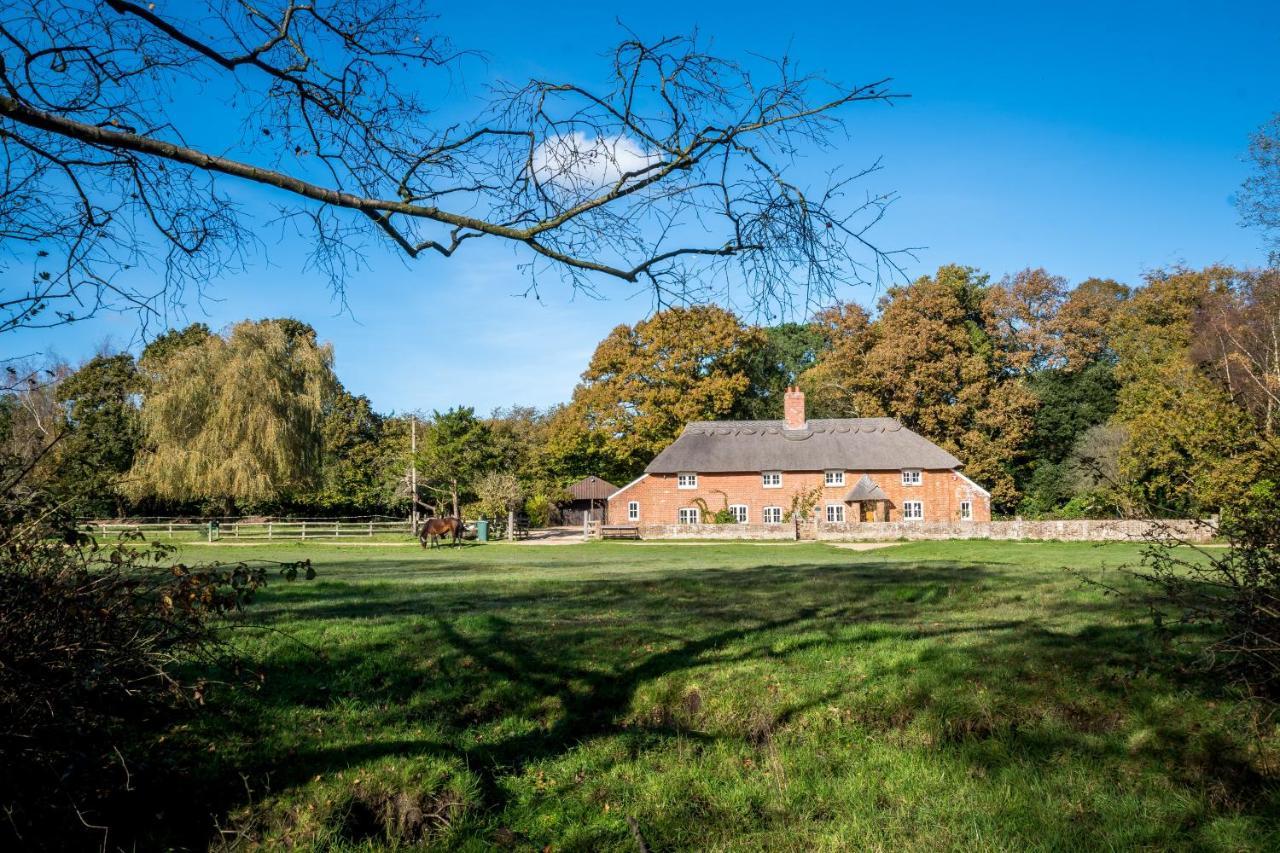Thatched Cottage Brockenhurst Buitenkant foto